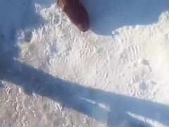 Brave Russian bimbo strips down to her underwear in snow