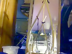 Enema Reflections