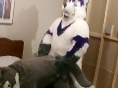 Fursuit sex 2