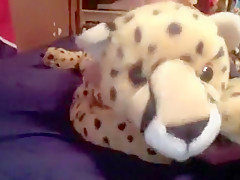 Mr.Cheetah (Plushophilia!)