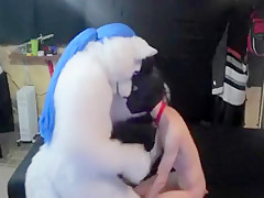 noble mounts his pup