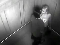 Security Camera Caught Exhibitionist Couple Fucking in Elevator