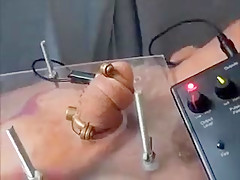 Squashed balls with elec cock torture cbt