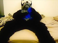Suit paw and Facial