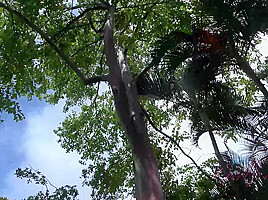 Virtual Vacation In Hawaii With Kristen Scott Part 4