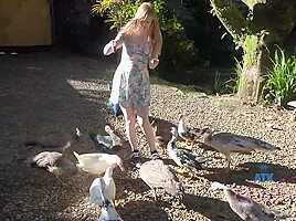 Virtual Vacation On Hawaii With Young And Nasty Dolly Leigh 6/11